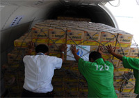Logistics Emergency Teams Join Forces with the UN to Respond to Asian Crises